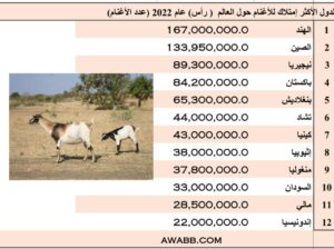 الدول الأكثر إمتلاك للأغنام حول العالم ( رأس) عام 2022 (عدد الأغنام)