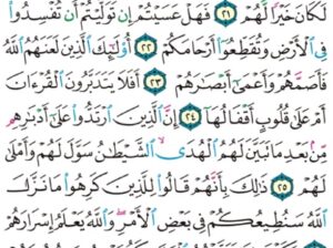الوِرد اليومي سورة محمد من الآية 20 إلى الآية 29