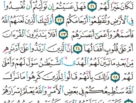 الوِرد اليومي سورة محمد من الآية 20 إلى الآية 29
