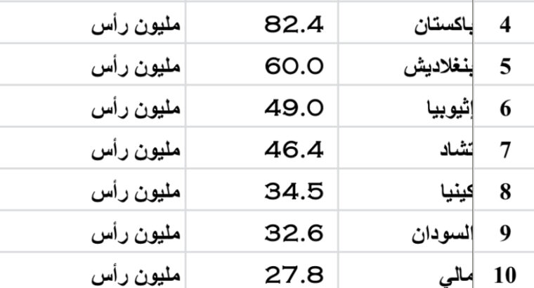الدول الأكثر إمتلاكاً للأغنام بالعام 2023 (مليون رأس)