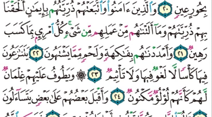 الوِرد اليومي سورة الطور من الآية 15 إلى الآية 31
