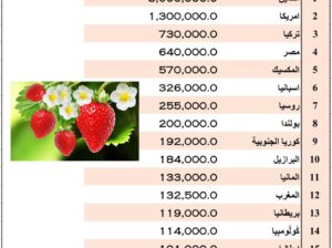 الدول الأكثر إنتاجاً للفراولة ( طن) عام 2022 (إنتاج الفراولة)