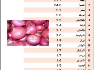 الدول الأكثر إنتاجاً للبصل ( مليون طن ) عام 2022 (إنتاج البصل )