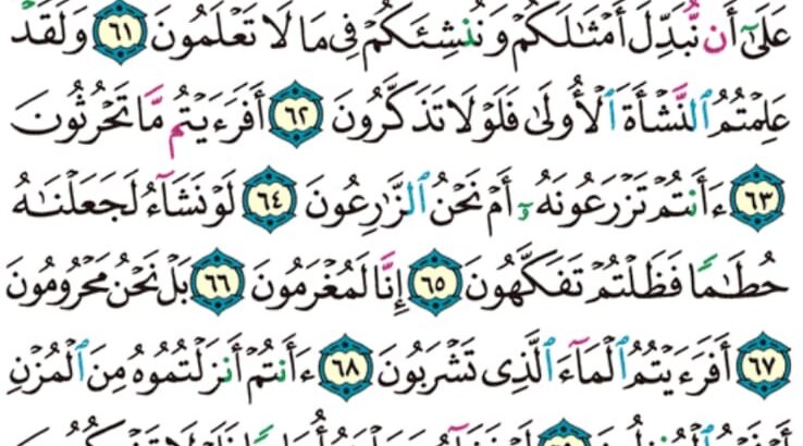 الوِرد اليومي سورة الواقعة من الآية 51 إلى الآية 76