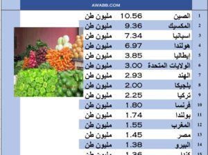 الدول الأكثر تصديراً للخضروات بالعام 2022 م (طن)