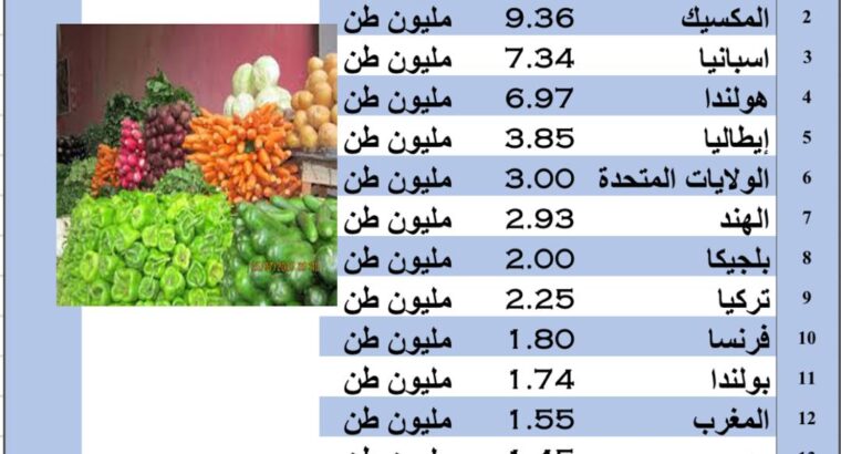 الدول الأكثر تصديراً للخضروات بالعام 2022 م (طن)