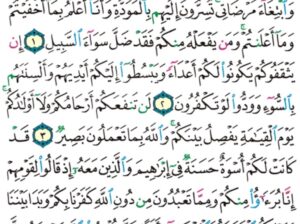 الوِرد اليومي سورة الممتحنة من الآية 1 إلى الآية 5
