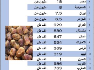 الدول الأكثر إنتاجاً للتمر بالعام 2023