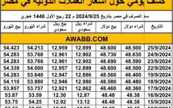 كشف يومي حول أسعار العملات الدولية في مصر