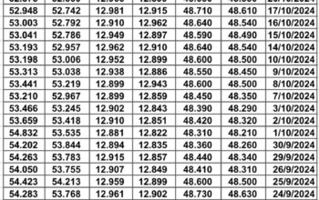 سعر الصرف في مصر بتاريخ 2024/10/20 م EGP today 15 ربيع الثاني 1446 هجري