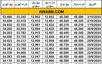 سعر الصرف في مصر بتاريخ 2024/10/3 م 30 ربيع الأول 1446 هجري