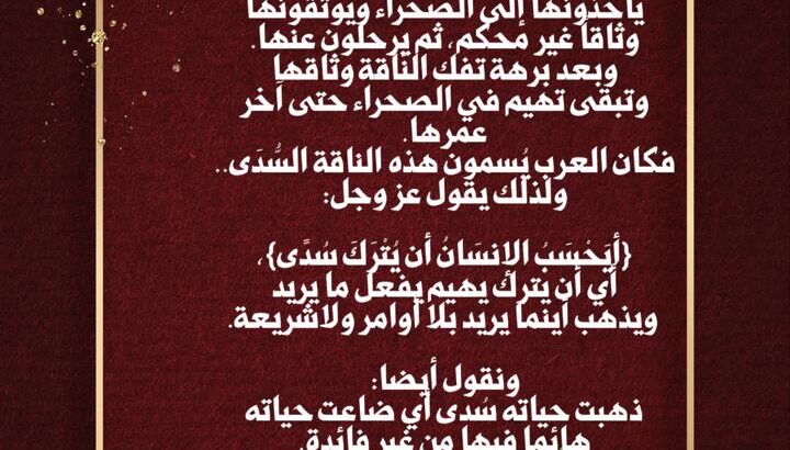 إن العرب قديماً إذا كبرت الناقة وصارت عجوزاً، فلا يعود لها لبن ولا ولد ولا يؤكل لحمها، يأخذونها إلى الصحراء ويوثقونها وثاقاً غير محكم، ثم يرحلون عنها. وبعد برهة تفك النّاقة وثاق