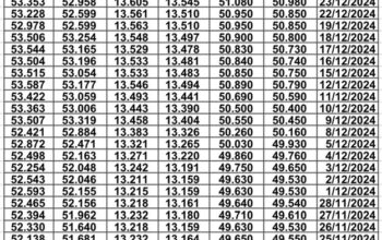 سعر الصرف في مصر يوم 2024/12/30 م EGP today سعر الدولار مقابل الجنيه سعر اليورو مقابل الجنيه سعر الريال السعودي مقابل الجنيه المصري