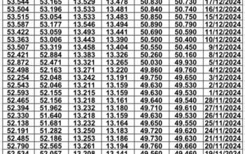 سعر الصرف في مصر يوم 2024/12/24 م EGP today سعر الدولار مقابل الجنيه سعر اليورو مقابل الجنيه سعر الريال السعودي مقابل الجنيه المصري