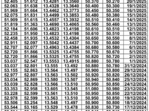 سعر الصرف في مصر يوم 2025/1/23 م EGP today سعر الدولار مقابل الجنيه سعر اليورو مقابل الجنيه سعر الريال السعودي مقابل الجنيه المصري