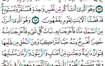الورد اليومي سورة الأنعام من الآية 95 إلى الآية 101 “إن الله فالق الحب و النوى يخرج الحي من الميت و مخرج الميت من الحي ذلكم الله فأنى تؤفكون