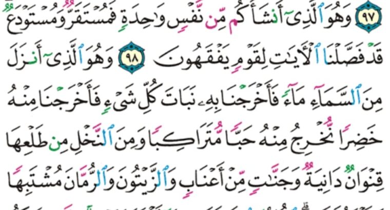 الورد اليومي سورة الأنعام من الآية 95 إلى الآية 101 “إن الله فالق الحب و النوى يخرج الحي من الميت و مخرج الميت من الحي ذلكم الله فأنى تؤفكون
