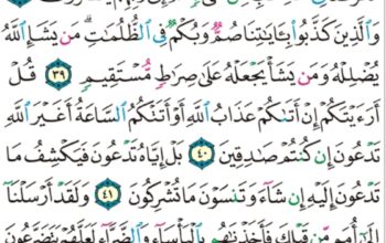 “إنما يستجيب اللذين يسمعون و الموتى يبعثهم الله ثم إليه يرجعون”سورة الأنعام من الاية 36 إلى الآية 44