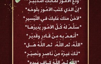 تمَّ مطمئن البال و التفكير و دع الأمور لمالك التدبير