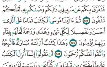 الورد اليومي سورة الأنعام من الآية 152 إلى الآية 157 “ولا تقربوا مال اليتيم إلا بالتي هي أحسن حتى يبلغ أشده”