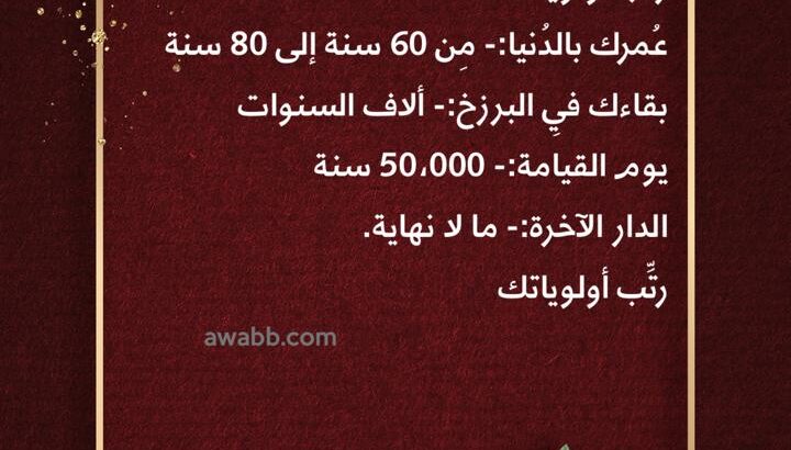 رتب أولوياتك