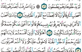 الورد اليومي سورة الأعراف من الآية 44 إلى الآية 51 “و نادى أصحاب الجنة أصحاب النار ان قد وجدنا ما وعدنا ربنا حقاً”