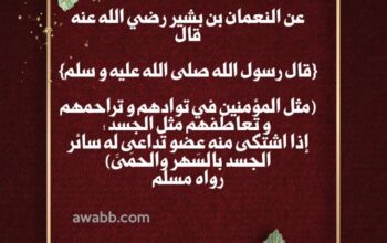 مثل المؤمنين في توادهم وتراحمهم وتعاطفهم مثل الجسد إذا اشتكى منه عضو تداعى له سائر الجسد بالسهر والحمى