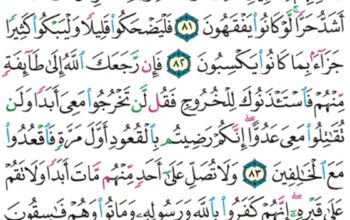 الورد اليومي سورة التوبة من الآية 80 إلى الآية 86 ” استغفر لهم او لا تستغفر لهم إن تستغفر لهم سبعين مرة فلن يغفر الله لهم ذلك بأنهم كفروا بالله و رسوله “