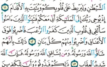 الورد اليومي سورة الأنفال من الآية 9 إلى الآية 16 “إذ تستغيثون ربكم فاستجاب لكم إني ممدكم بألف من الملائكة مردفين”