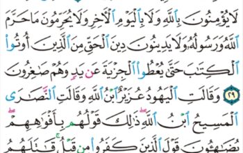 الورد اليومي سورة التوبة من الآية 27 إلى الآية 31 “ثم يتوب الله من بعد ذلك على من يشاء و الله غفور رحيم “