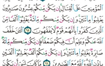 الورد اليومي سورة الأنفال من الآية 62 إلى الآية 69 “و إن يريدوا أن يخدعوك فإن حسبك الله هو الذي أيدك بنصره و بالمؤمنين “