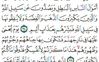 الورد اليومي سورة التوبة من الآية 32 إلى الآية 36 “يريدون أن يطفئوا نور الله بأفواههم و يأبى الله إلا أن يتم نوره و لو كره الكافرون “