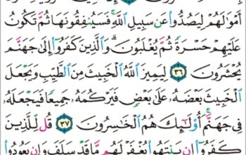الورد اليومي سورة الأنفال من الآية 34 إلى الآية 40 “و ما لهم ألا يعذبهم الله و هم يصدون عن المسجد الحرام و ما كانوا أولياء”