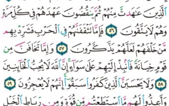 الورد اليومي سورة الأنفال من الآية 53 إلى الآية 61 “ذلك بأن الله لم يك مغيراً نعمةً أنعمها على قوم حتى يغيروا ما بأنفسهم “
