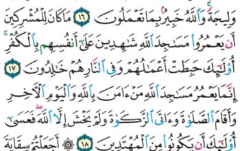 الورد اليومي سورة التوبة من الآية 14 إلى الآية 20 “قاتلوهم يعبذهم الله بأيديكم و يخزهم و ينصركم عليهم و يشف صدور قوم مؤمنين”