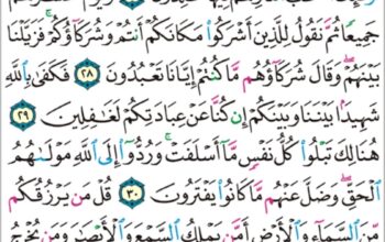 الورد اليومي سورة يونس من الاية 26 إلى الاية 33 “للذين احسنوا الحسنى و زيادة و لا يرهق وجوههم قتر و لا ذلة اولئك اصحاب الجنة هم فيها خالدون”