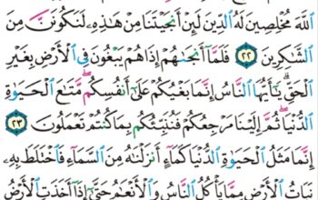 الورد اليومي سورة يونس من الاية 21 إلى الاية 25 “و إذا أذقنا الناس رحمة من بعد ضراء مستهم إذا لهم مكر في آياتنا قل الله اسرع مكراً”