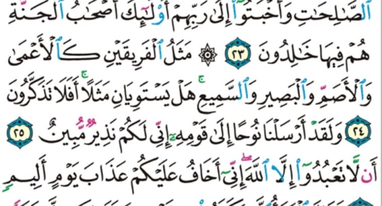 الورد اليومي سورة هود من الاية 20 إلى الاية 28 “أولئك لم يكونوا معجزين في الأرض و ما كان من دون الله من أولياء يضاعف لهم العذاب ما كانوا يستطيعون السمع و ما كانوا مبصرين”