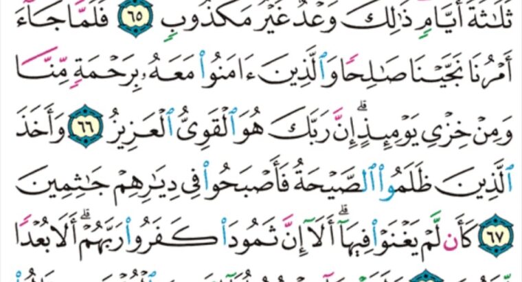 الورد اليومي سورة هود من الاية 63 إلى الاية 71 “”قال يا قوم ارايتم إن كنت على بينت من ربي و ءاتني منه رحمةً فمن ينصرني من الله إن عصيته فما تزيدونني غير تخسير”