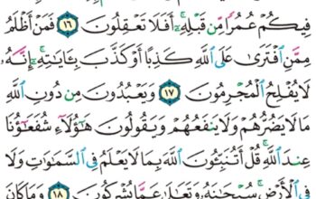 الورد اليومي سورة يونس من الاية 15 إلى الاية 20 “و إذا تتلى عليهم ءاياتنا بينات قال اللذين لا يرجون لقاءنا ائت بقرآن غير هذا او بدله”