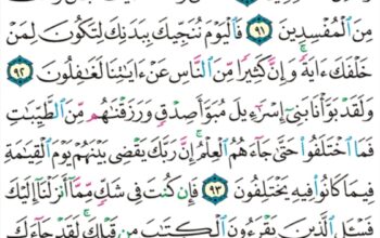 الورد اليومي سورة يونس من الاية 89 إلى الاية 97 ” قال قد اجيبت دعوتكما فاستقيما و لا تتبعان سبيل اللذين لا يعلمون “