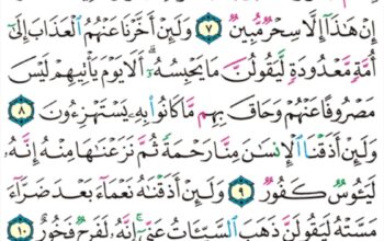 الورد اليومي سورة هود من الاية 98 إلى الاية 12 ” و ما من دابة في الأرض إلا على الله رزقها و يعلم مستقرها و مستودعها كل في كتاب مبين”