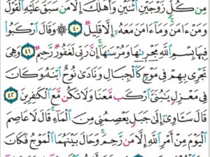 الورد اليومي سورة هود من الاية 29 إلى الاية 45 “و يصنع الفلك و كلما مر عليه ملأ من قومه سخروا منه قال إن تسخروا منا فإنا نسخر منكم كما تسخرون”