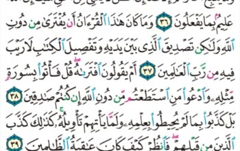 الورد اليومي سورة يونس من الاية 34 إلى الاية 42 “قل هل من شركائكم من يبدؤا الخلق ثم يعيده قل الله يبدؤا الخلق ثم يعيده فأنى تؤفكون”