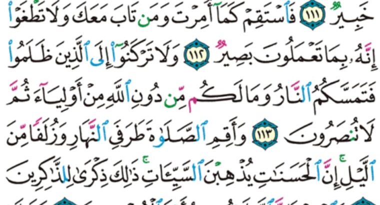 الورد اليومي سورة هود من الاية 109 إلى الاية 117 “”فلا تك في مرية مما يعبد هؤلاء ما يعبدون إلا كما يعبد أباءهم من قبل و إنا لموفوهم نصيبهم غير منقوص”