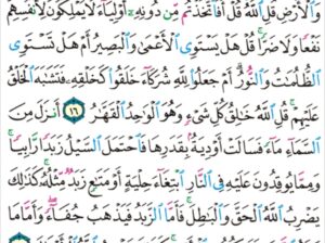 الورد اليومي سورة الرعد من الاية 14 إلى الاية 18″له دعوة الحق و اللذين يدعون من دونه لا يستجيبون لهم بشيء إلا كباسط كفيه إلى الماء ليبلغ فاه و ما هو ببالغهو ما دعاء الكافرين إلا”