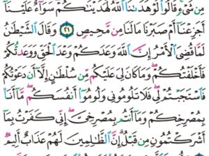 الورد اليومي سورة إبراهيم من الاية 19 إلى الاية 24″ألم ترى أن الله خلق السماوات و الأرض بالحق إن يشأ يذهبكم و يأتي بخلق جديد”
