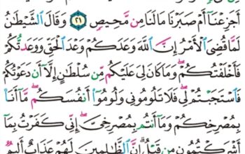 الورد اليومي سورة إبراهيم من الاية 19 إلى الاية 24″ألم ترى أن الله خلق السماوات و الأرض بالحق إن يشأ يذهبكم و يأتي بخلق جديد”