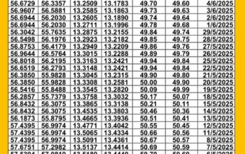 سعر الصرف في مصر اليوم 2025/6/15 م سعر الدولار مقابل الجنيه المصري سعر اليورو مقابل الجنيه المصري سعر الريال السعودي مقابل الجنيه المصري
