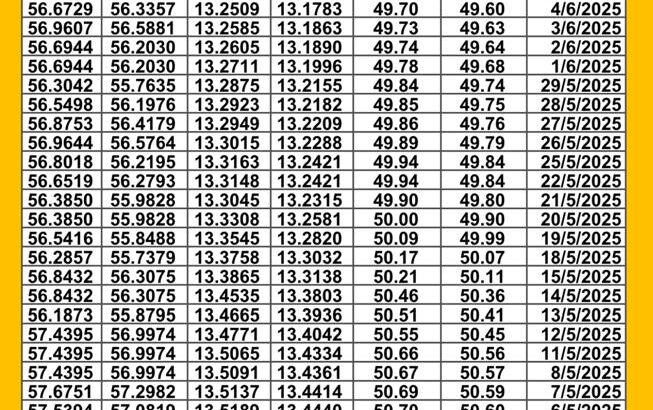 سعر الصرف في مصر اليوم 2025/6/15 م سعر الدولار مقابل الجنيه المصري سعر اليورو مقابل الجنيه المصري سعر الريال السعودي مقابل الجنيه المصري